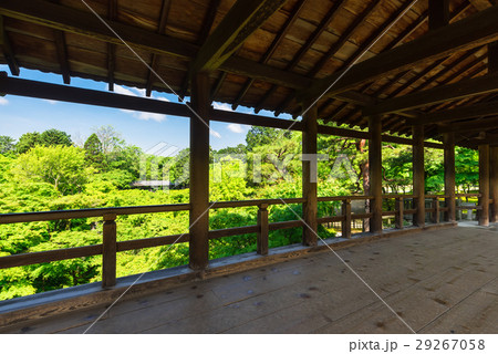 春の京都 東福寺 通天橋から眺める新緑の写真素材