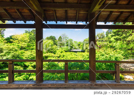 春の京都 東福寺 通天橋から眺める新緑の写真素材