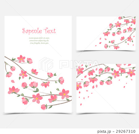 Branches with flowers Branches with flowers 29267310