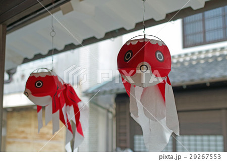 白壁の町柳井の金魚ちょうちん 29267553