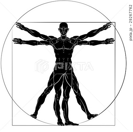 Vitruvian Man Da Vinci Style Figure 29267762