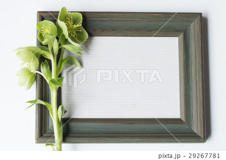 フォトフレームとクリスマスローズ フォトフレームとクリスマスローズ 29267781