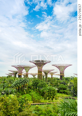 Gardens by the bay, Supertree grove in Singapore. 29270637