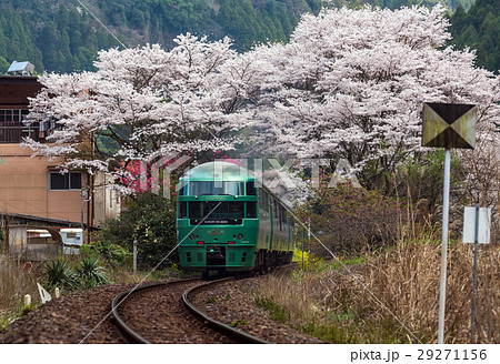 豊後中川駅と桜 29271156