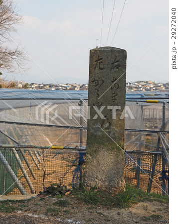 天野街道の道標 天野街道の道標 29272040