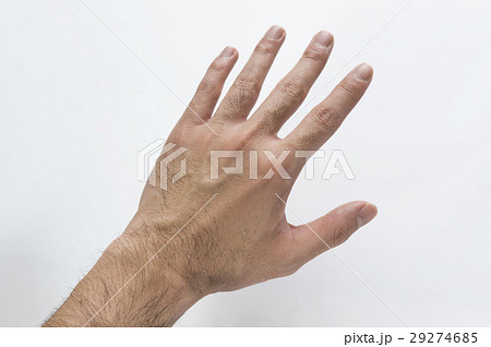 毛の濃い手 29274685