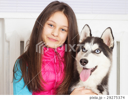 Girl and Siberian husky dog 29275374