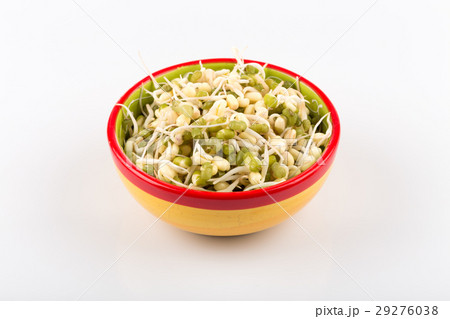 Pea seeds with sprouts close up Pea seeds with sprouts close up 29276038