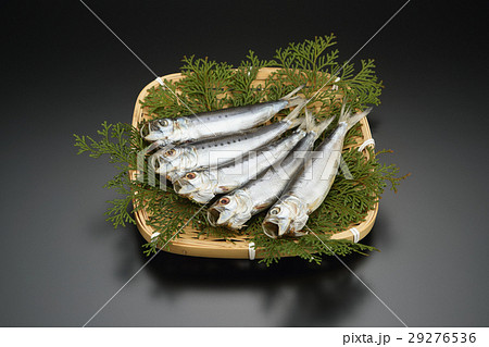イワシの丸干し イワシの丸干し 29276536