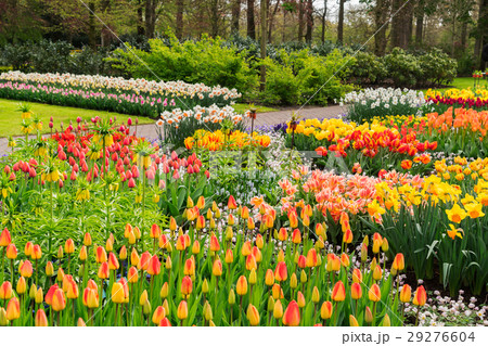 Formal spring garden 29276604