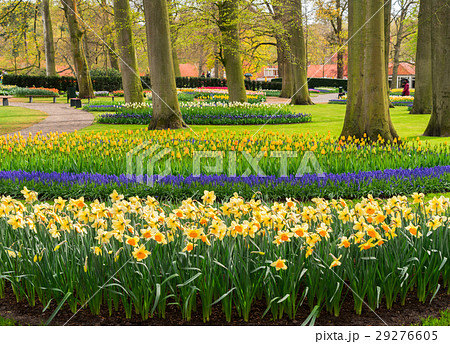 Formal spring garden Formal spring garden 29276605