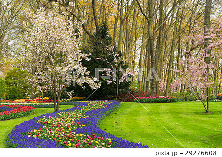 Formal spring garden 29276608
