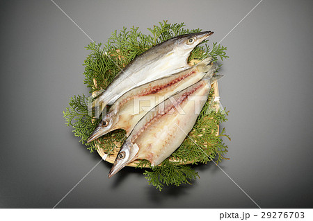 かますのひもの 29276703