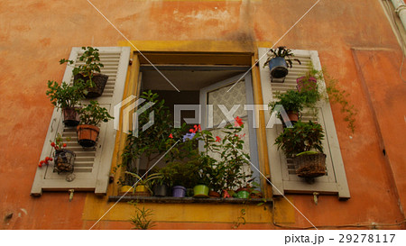 Flower pots white shutters. Nice. France Flower pots white shutters. Nice. France 29278117