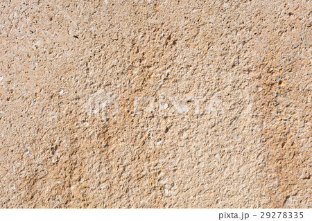 sandstone texture with fossils sandstone texture with fossils 29278335