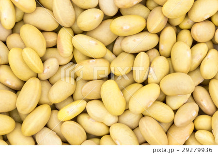 ぺルアノビーンズ: Peruano beans (Mayocoba beans) 29279936