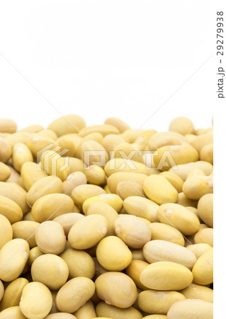 ぺルアノビーンズ: Peruano beans (Mayocoba beans) 29279938