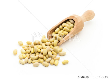 ぺルアノビーンズ: Peruano beans (Mayocoba beans) ぺルアノビーンズ: Peruano beans (Mayocoba beans) 29279939