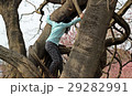 少女の木登り 29282991