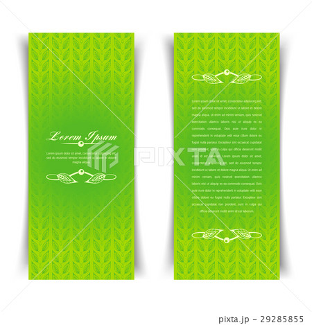 green calligraphic elements 29285855