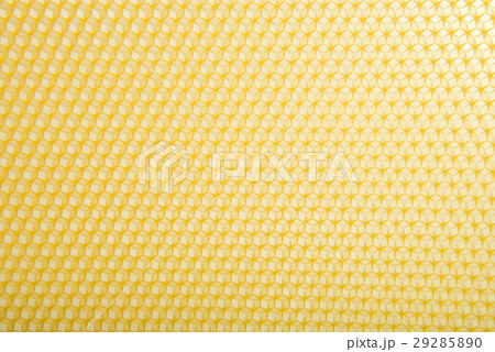 Texture Hollow honey 29285890