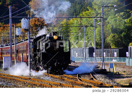 秩父鉄道 蒸気機関車 SL C58 363 パレオエクスプレス 三峰口駅（埼玉県 秩父市） 29286304