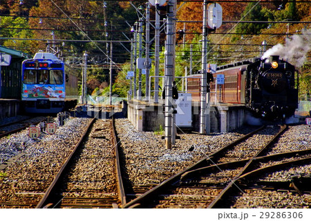 秩父鉄道 蒸気機関車 SL C58 363 パレオエクスプレス 三峰口駅（埼玉県 秩父市） 29286306
