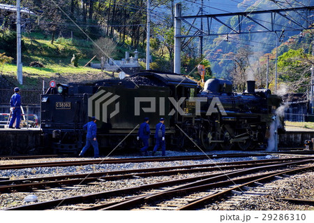 秩父鉄道 蒸気機関車 SL C58 363 パレオエクスプレス 三峰口駅（埼玉県 秩父市） 29286310