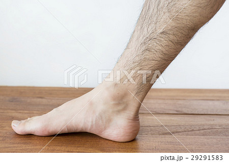 毛深い脚の写真素材