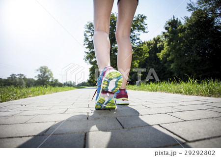 Jogging in the morning Jogging in the morning 29292802
