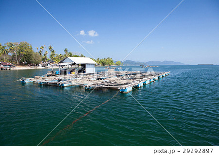 Fishes underwater fish cage farming Fishes underwater fish cage farming 29292897