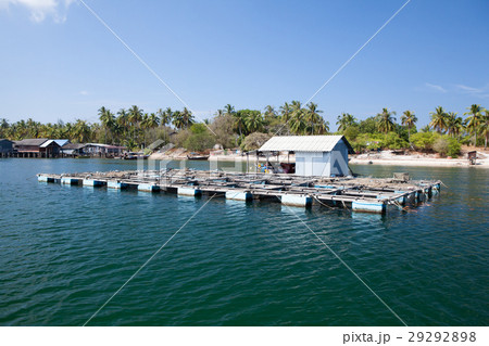 Fishes underwater fish cage farming 29292898