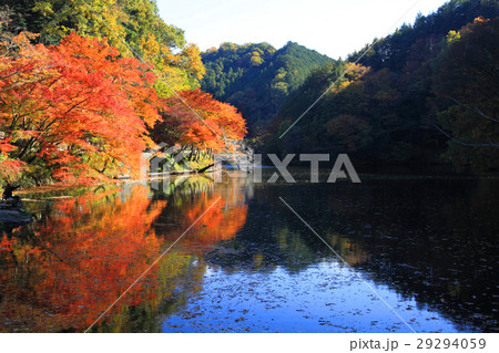 鎌北湖 紅葉の写真素材