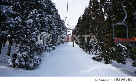雪国の樹林を行くリフト 雪国の樹林を行くリフト 29294669