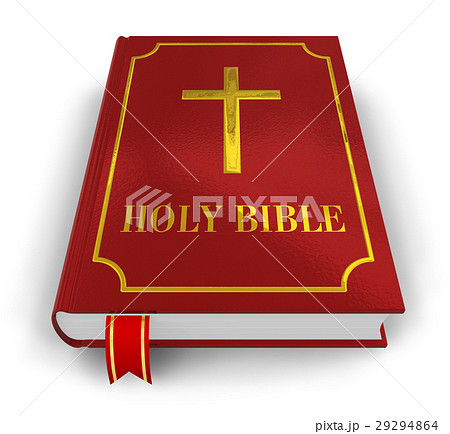 Holy Bible 29294864