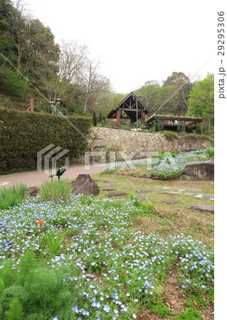神戸布引ハーブ園 いやしの庭の春 の写真素材
