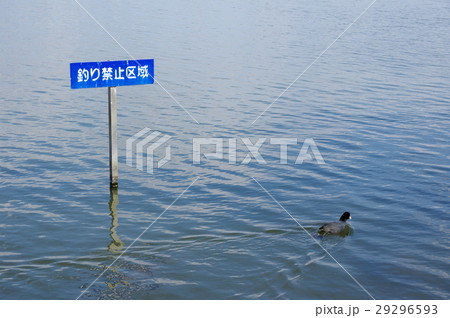 釣り禁止区域 釣り禁止区域 29296593