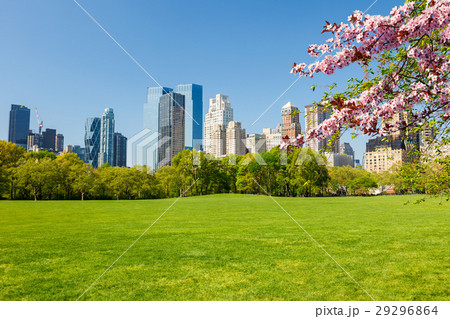 Central park at spring, New York 29296864