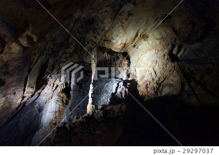 山口県 秋吉台・秋芳洞 山口県 秋吉台・秋芳洞 29297037