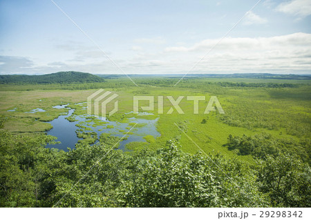 釧路湿原 29298342