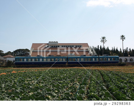 キャベツ畑と犬吠駅の電車(3000形電車) キャベツ畑と犬吠駅の電車(3000形電車) 29298363