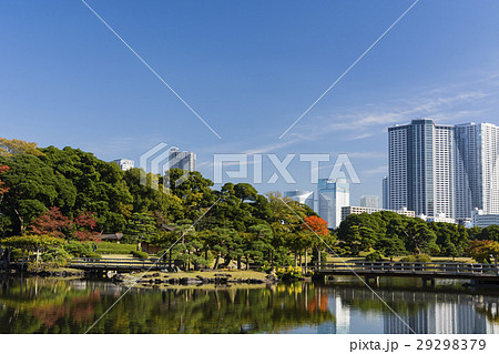秋の浜離宮恩賜庭園と豊海のタワーマンション 29298379