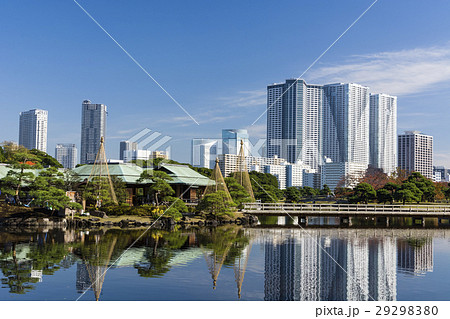 秋の浜離宮恩賜庭園と豊海のタワーマンション 秋の浜離宮恩賜庭園と豊海のタワーマンション 29298380