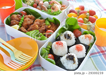 行楽弁当 29300239