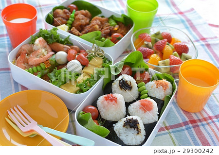 ピクニック弁当 ピクニック弁当 29300242