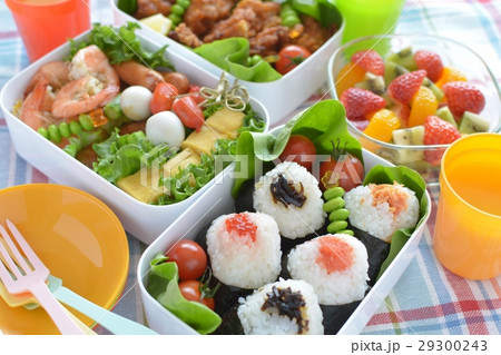 行楽弁当 行楽弁当 29300243