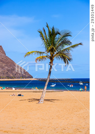 Beach Teresitas in Tenerife - Canary Islands Beach Teresitas in Tenerife - Canary Islands 29301449