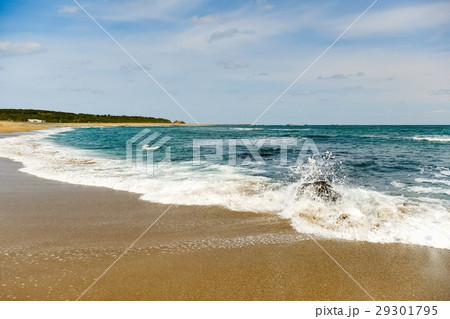 海 海 29301795