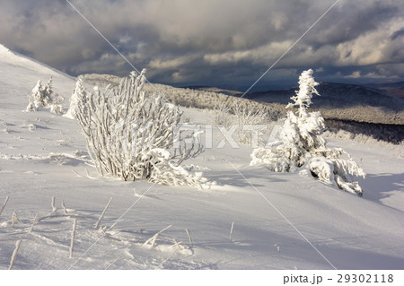 Winter mountain scenery in Bieszczady mountains Winter mountain scenery in Bieszczady mountains 29302118
