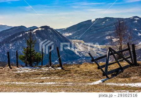 spring has sprung in rural area 29302516